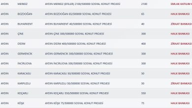 Aydın TOKİ Kura Sonuçları